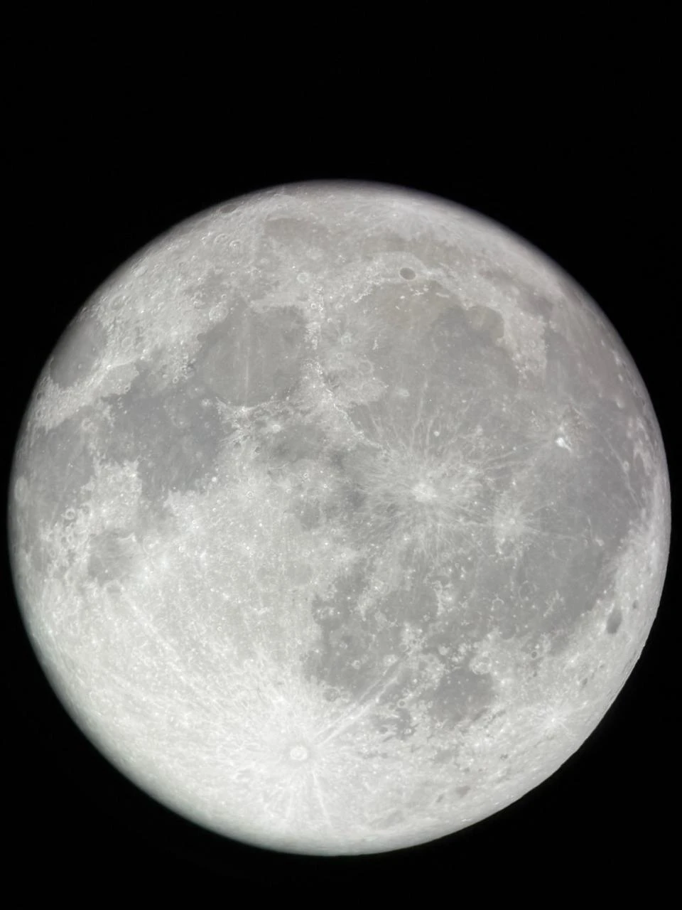 تجربة البدر مع التخييم في قبة خاصة لشخصين يوم 5 ديسمبر