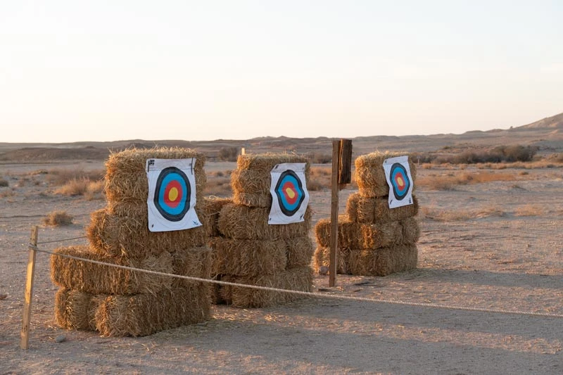 الرماية على الهدف (النمط الأولمبي) ليلاً ونهارًا